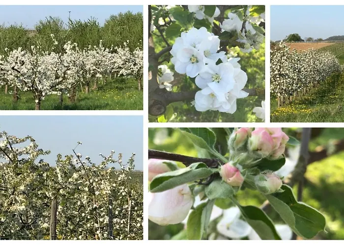 Krone Britzingen Hotel Mullheim (Baden-Wurttemberg)